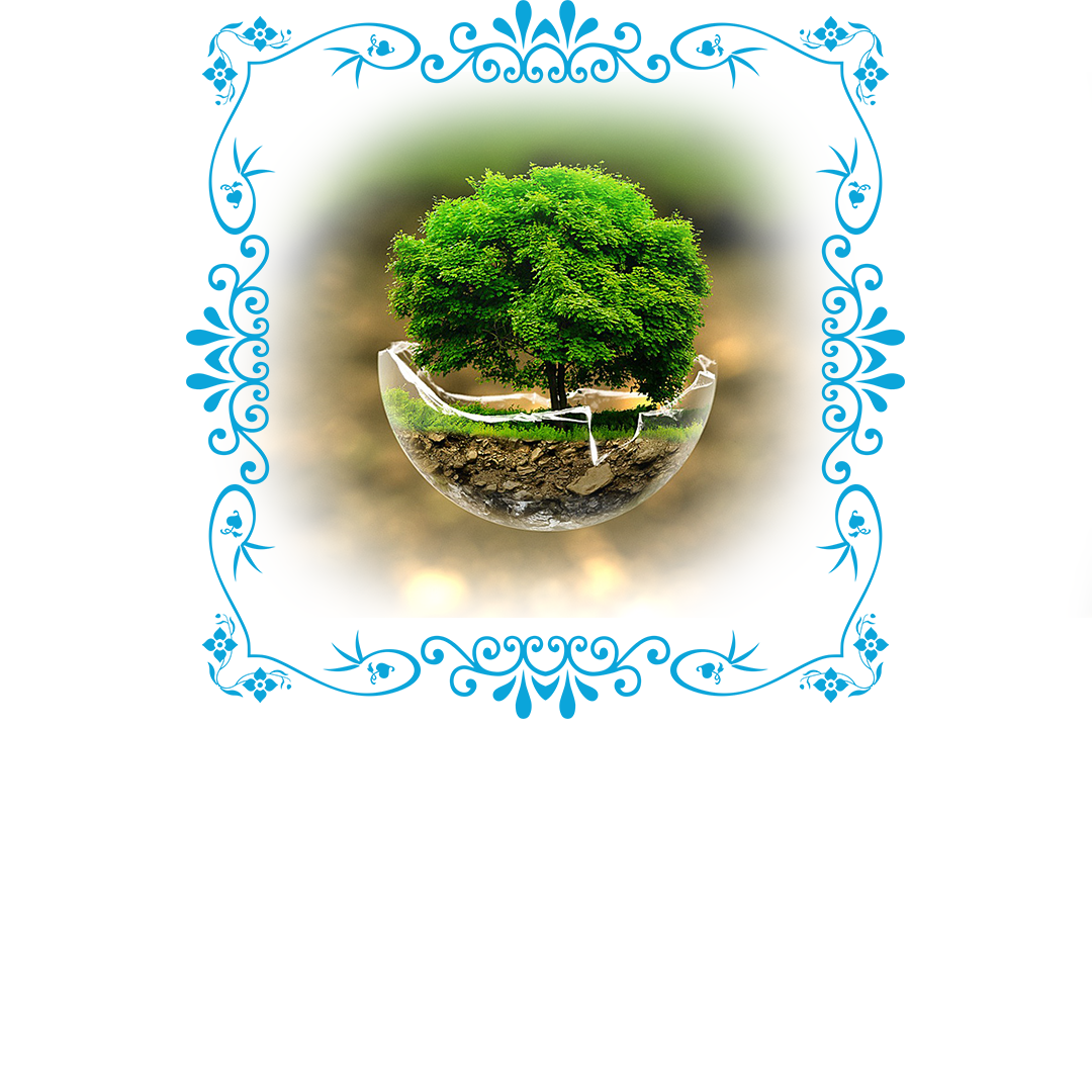 "Президентіміз Қасым-Жомарт Кемелұлы Тоқаевтің "Таза табиғат" атты жобасын іске асыру мақсатында мектебіміздің