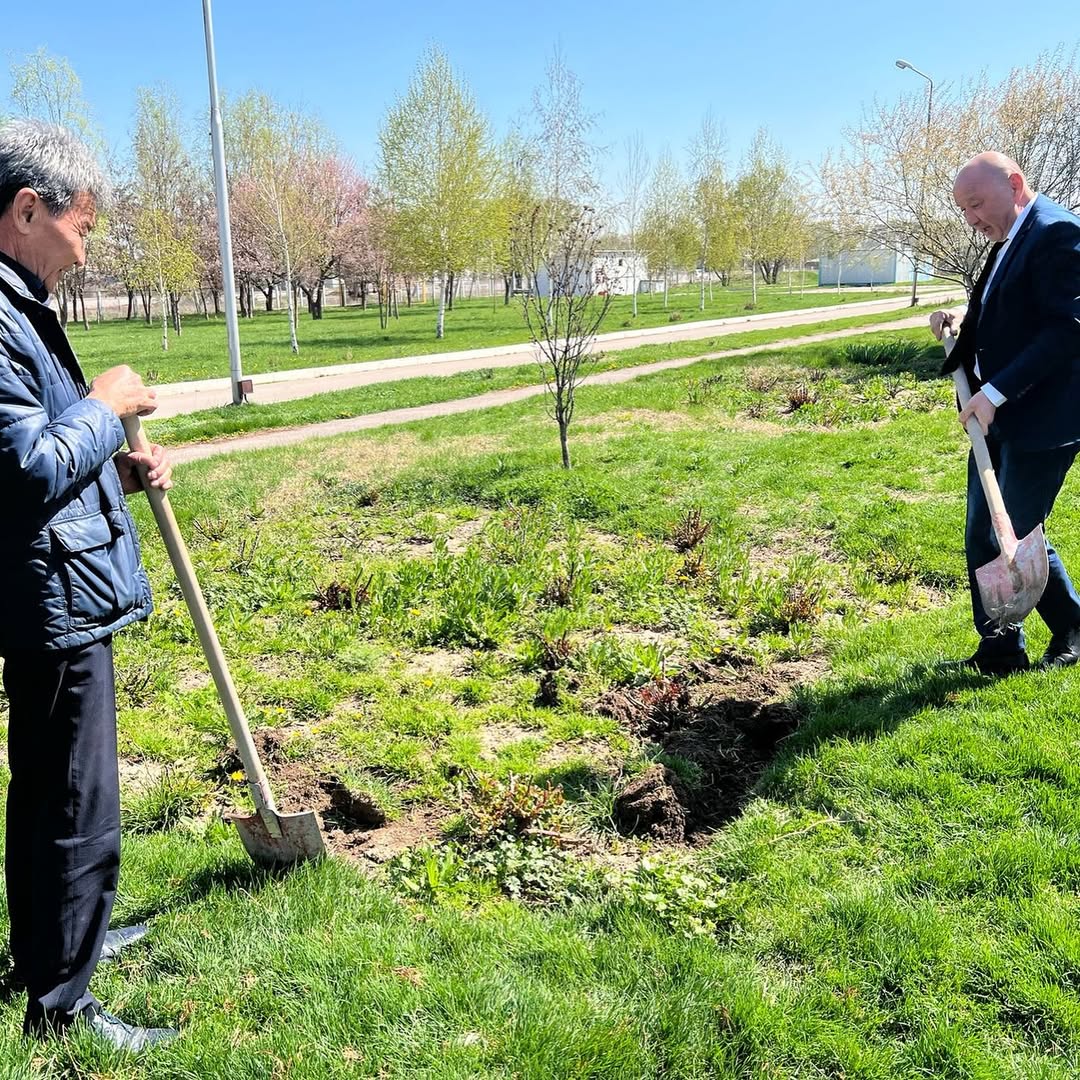 Мектеп ауласын көгалдандыру жұмыстары